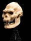 LOTR SKULL OF LURTZ STATUE