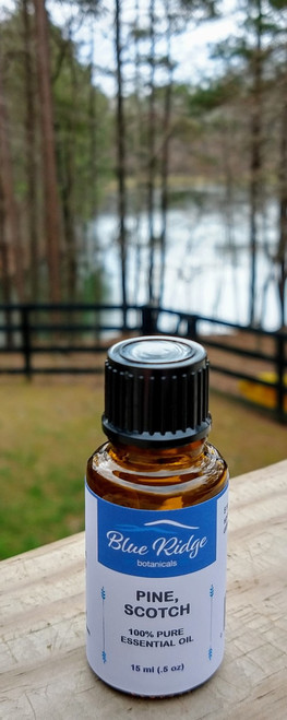 Pine, Scotch Essential Oil Pine, Scotch Essential Oil