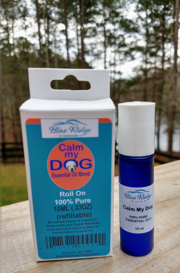 Potent Plant Medicine - Modern Dog Magazine Potent Plant Medicine - Modern Dog Magazine