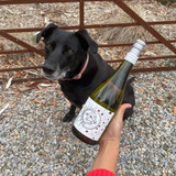 ​Bo's Wine of the Week - 2019 ​Dusk Til Dawn