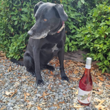 Bo's wine of the week - Globe Skimmer Organic Rosé