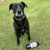 Bo's wine of the week - Z Force McLaren Vale Shiraz