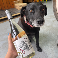 Bo's wine of the week - 2021 Shades of Gris