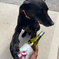 Bo's wine of the week - 2018 Apple Betty Chardonnay