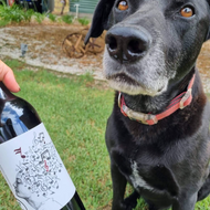 Bo's wine of the week - Canto Sangiovese Lagrein