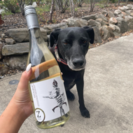 Bo's wine of the week - Excalibur Adelaide Hills Sauvignon Blanc