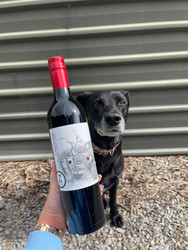 Bo's wine of the week - 2018 Super Trooper