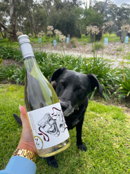 Bo's wine of the week - 2021 Shades of Gris