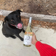 Bo's Wine of the Week - ​2021 Lady Marmalade