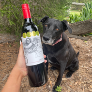 Bo's wine of the week - Lake Doctor Shiraz