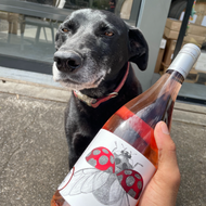 Bo's wine of the week - 2021 Scarlet Ladybird Rosé