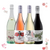 From left to right: Bolle Felici Prosecco, Scarlet Ladybird Rosé, Lady Marmalade Vermentino, Nature's Crux Organic Shiraz