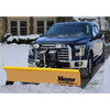 Meyer Plow Blade Drive Pro 6'8"