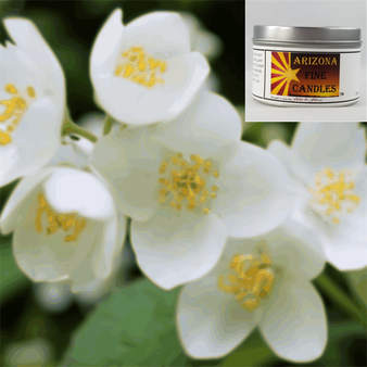 Jasmine 175g Tin Soy Candle