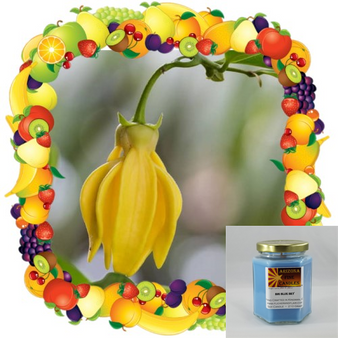 Ylang Ylang Twist 210g Hexagon Jar Soy Candle