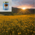 Sun Kissed Fields 210g Hexagon Jar Soy Candle