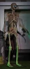 8' Towering Animated Skeleton Halloween Moving Prop w/ Digital Eyes Decoration