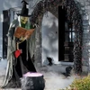 Life Size Animated Wicked Witch Speaking Spells Talking Moving Halloween Prop