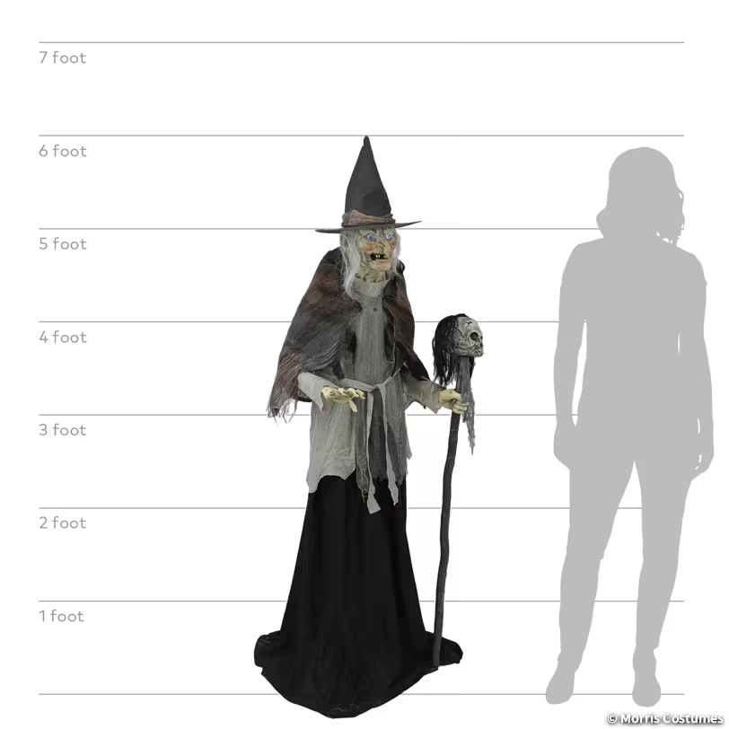 Life Size 6 Ft. Animated Lunging Witch Hag w/ Digital Eyes Halloween Prop Decor