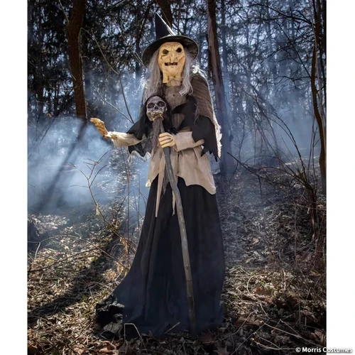 Life Size 6 Ft. Animated Lunging Witch Hag w/ Digital Eyes Halloween Prop Decor