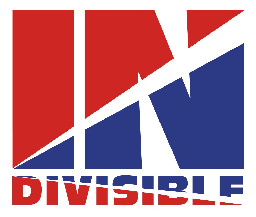 INDIVISIBLE 2020