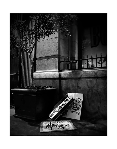 Ally by Gregory Clewlow