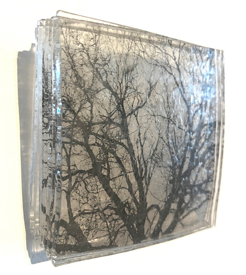 In Spite of Appearance Series, 2 by Baha H. Danesh 