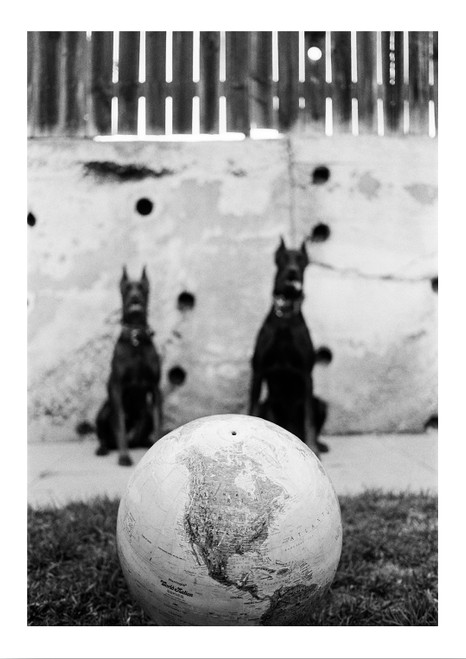 Dog Eat Dog World by Rene Casamalhuapa