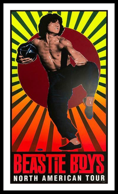 BEASTIE BOYS NORTH AMERICAN TOUR 1994 By Jim "TAZ" Evans