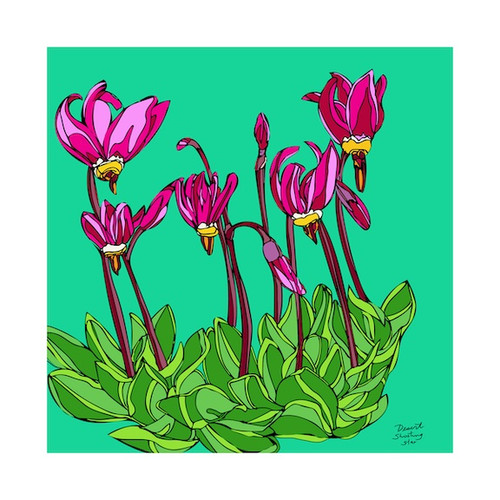 Desert Shooting Star by Andrea LaHue aka Random Act 