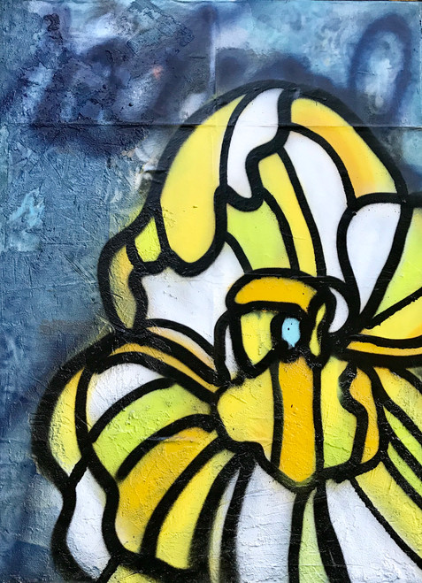 Radical by Andrea LaHue