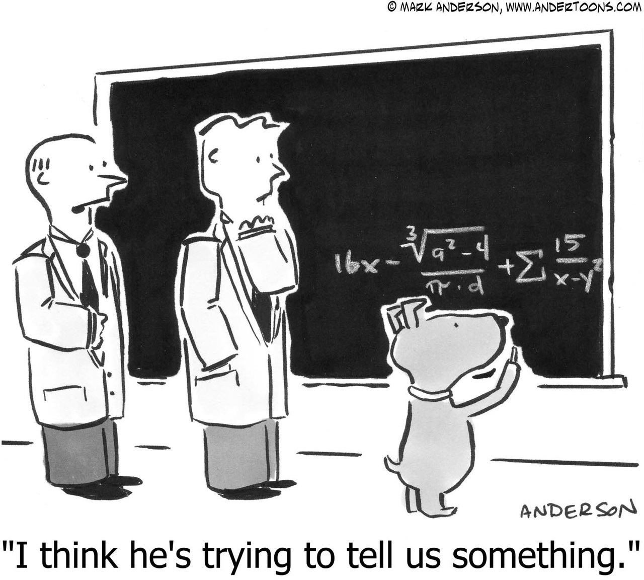 Dog Cartoon 2518 Andertoons Dog Cartoon 2518 Andertoons