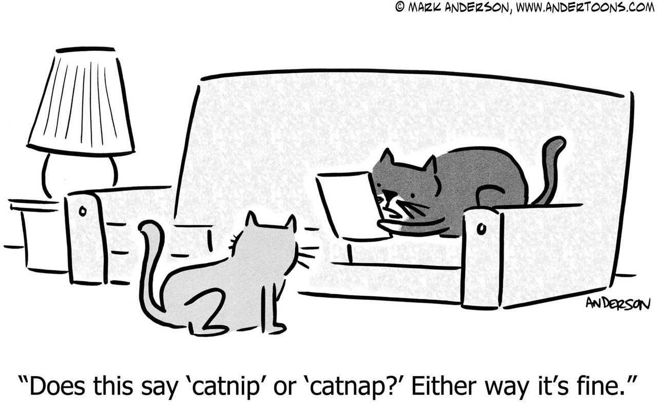 Cat Cartoon # 7010 - ANDERTOONS