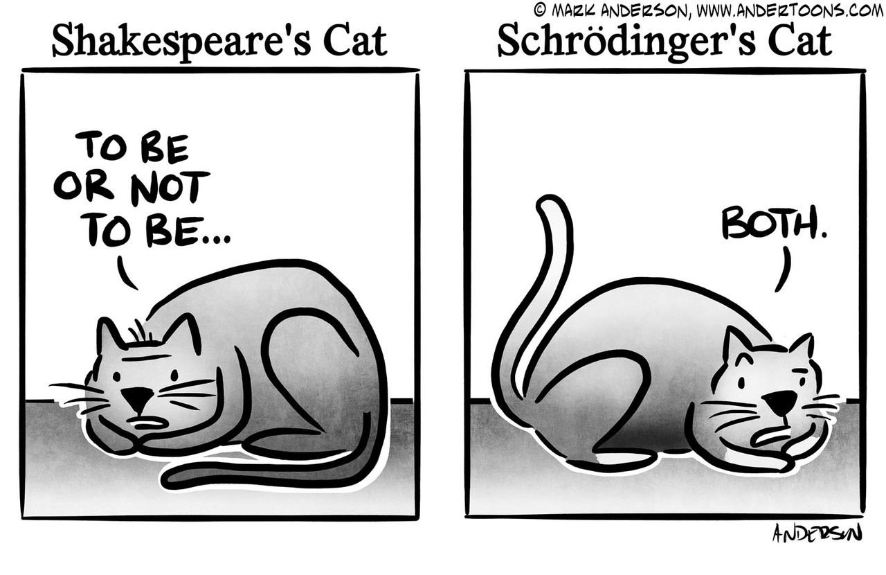 Schrödinger's cat