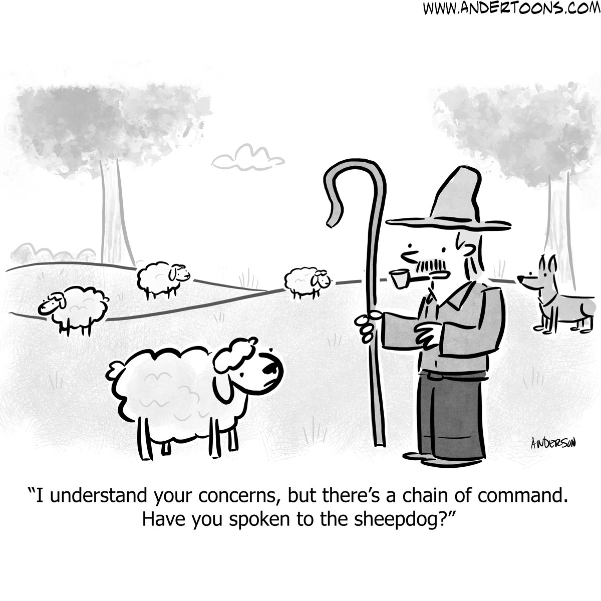 Sheep Cartoon 8677 Andertoons