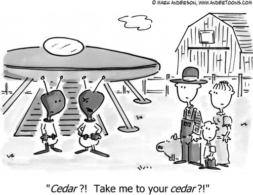 Alien Cartoon # 1008 - Cedar? Take me to your cedar?