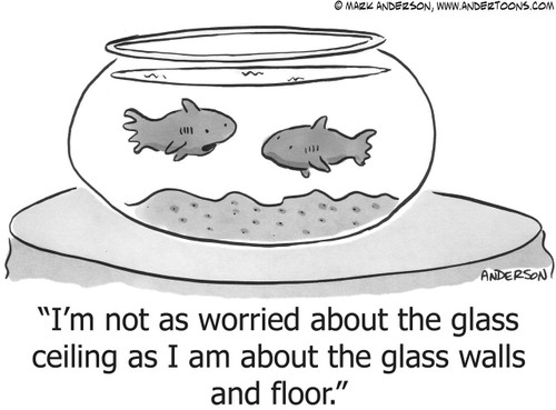 Fish Cartoon # 3425 - I'm not as worried about the glass ceiling as I am about the glass walls and floor.