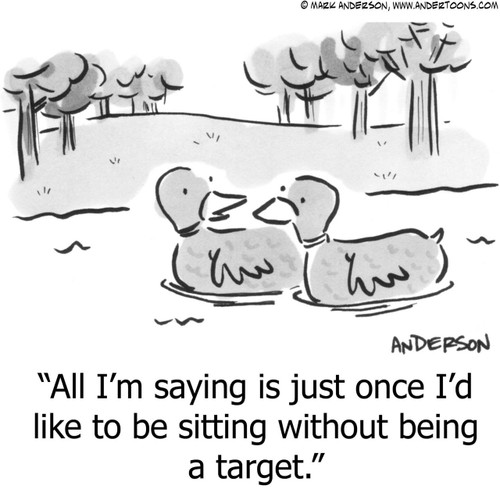 Duck Cartoon # 3613 - All I'm saying is just once I'd like to be sitting without being a target. Duck Cartoon # 3613 - All I'm saying is just once I'd like to be sitting without being a target.