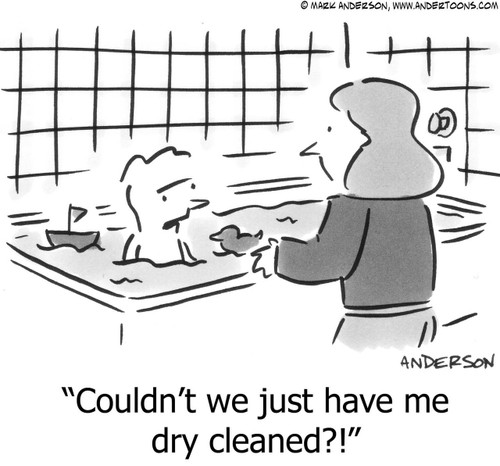 Bath Cartoon # 3927 - Couldn't we just have me dry cleaned?!