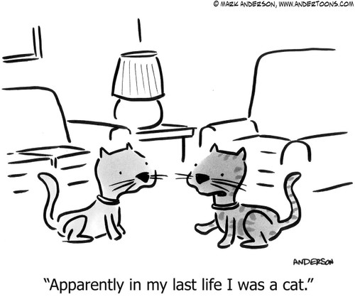 Cat Cartoon # 6224 - ANDERTOONS