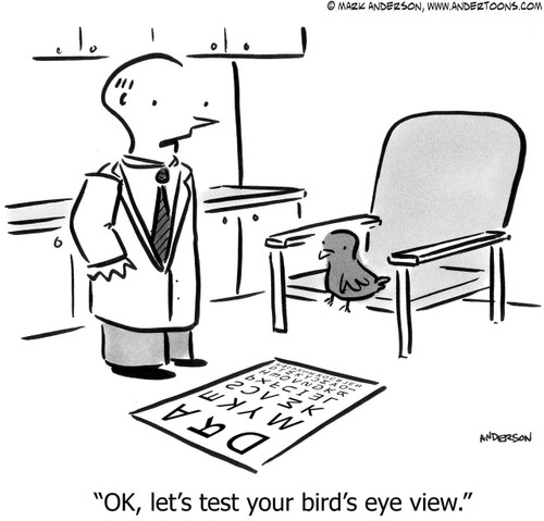 Bird Cartoon # 5309 - OK, let's test your bird's eye view.