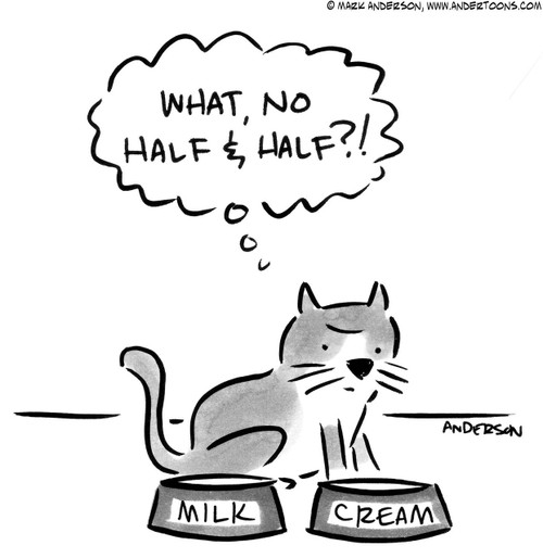 Cat Cartoon # 6216 - (Cat sitting in front of bowls labeled 'Milk' & 'Cream' thinks 'What, no half & half?!')