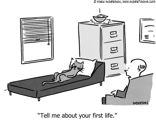 Cat Cartoon # 6757 - ANDERTOONS