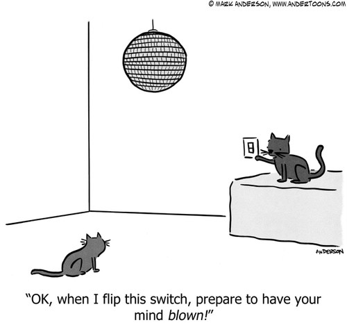 Cat Cartoon # 7000 - OK, when I flip this switch, prepare to have your mind blown!