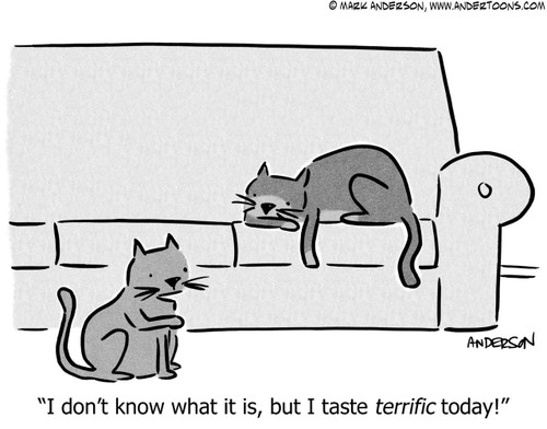 Cat Cartoon # 7040 - I don't know what it is, but I taste terrific today!