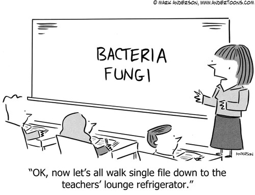 School Cartoon # 7056 - OK, now let's all walk single file down to the teachers' lounge refrigerator.