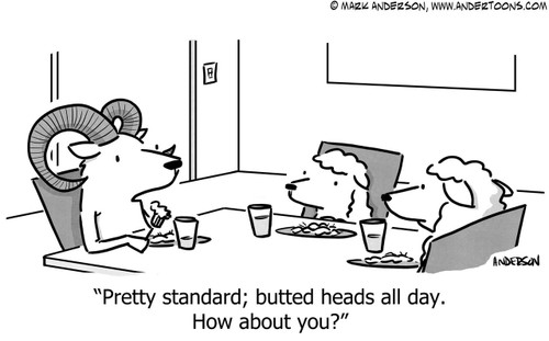 Work Cartoon # 7297 - Pretty standard; butted heads all day. How about you?