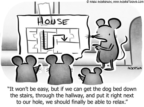 Protection Cartoon # 8168 - It won't be easy, but if we can get the dog bed down the stairs, through the hallway, and put it right next to our hole, we should finally be able to relax.