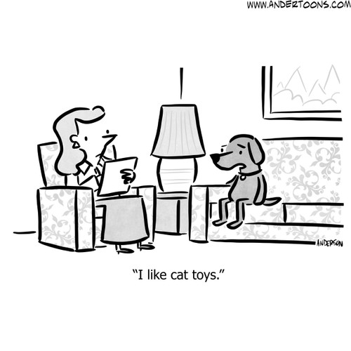 dog and cat cartoon