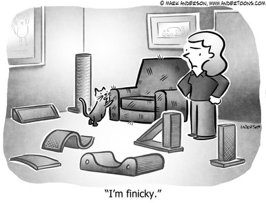 Choosing Cartoon # 7834 - ANDERTOONS